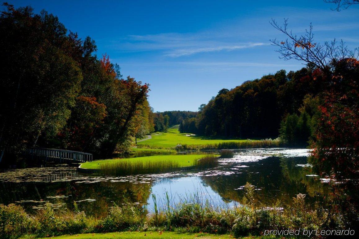 Treetops Resort Gaylord Luaran gambar